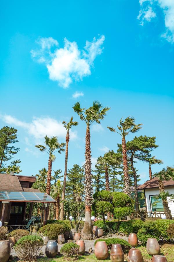 Bijarim Resort Jeju Exterior photo